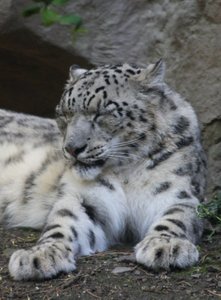 00000023.jpg 00000023.jpg