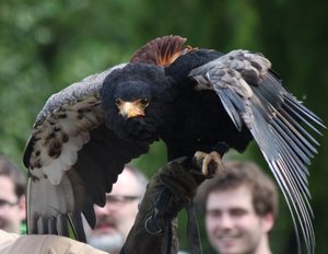 00000006.jpg 00000006.jpg