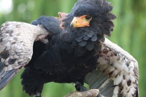 00000009.jpg 00000009.jpg