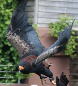 00000010.jpg 00000010.jpg