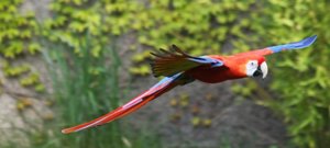 00000014.jpg 00000014.jpg