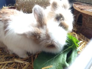 Foto(3).JPG Foto(3).JPG