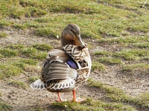 P1142583 (640x480).jpg