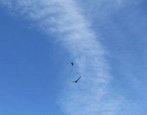 6632613638386432.jpg 6632613638386432.jpg