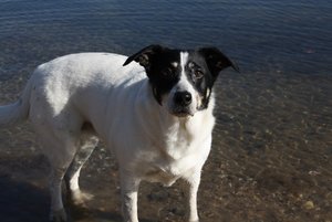 IMG_4091 (640x427).jpg