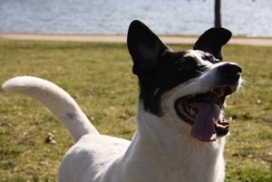 IMG_4247 (640x427).jpg