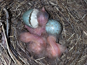 2014-05-20 19.59.28 verkleinert.jpg