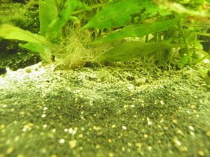 DSCF3001.JPG DSCF3001.JPG