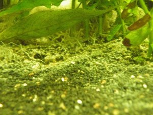 DSCF3005.JPG DSCF3005.JPG