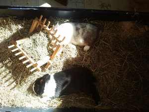 2014-05-09 16.12.17.jpg