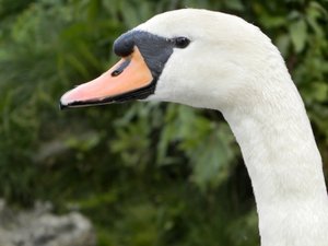 P6010898 (640x480).jpg