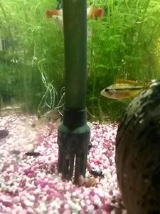 uploadfromtaptalk1401626366542.jpg uploadfromtaptalk1401626366542.jpg