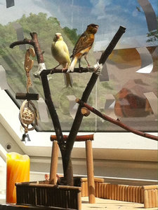 ImageUploadedByTapatalk1401729357.723659.jpg ImageUploadedByTapatalk1401729357.723659.jpg