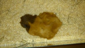 DSC_2744 (640x360).jpg