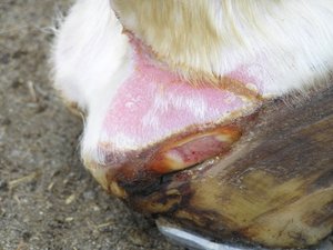 P1010167 (640x479).jpg