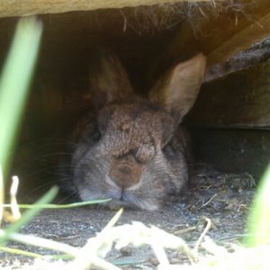 14023815713531.jpg 14023815713531.jpg