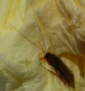 Screen Shot 2014-06-13 at 10.16.17 copy.jpg Screen Shot 2014-06-13 at 10.16.17 copy.jpg