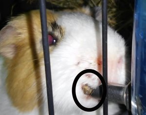 PicsArt_1402690540298.jpg PicsArt_1402690540298.jpg