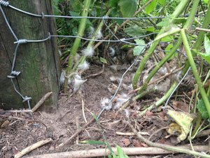 Foto (1024 x 768).jpg