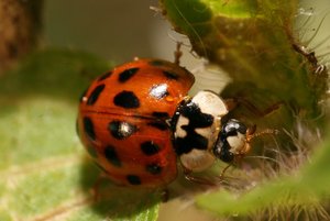 Bild (662) (1024 x 683).jpg