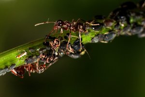 Bild (813) (1024 x 683).jpg