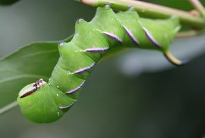 IMG_2639 (640x427).jpg IMG_2639 (640x427).jpg