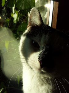 20140523_200117 (480x640).jpg