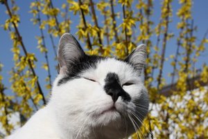 IMG_4765 (640x427).jpg