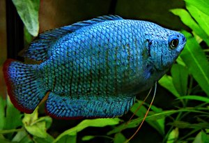 PicsArt_1402780489673.jpg PicsArt_1402780489673.jpg