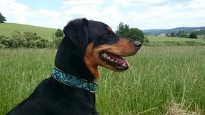 2014-06-13 14.49.11.jpg