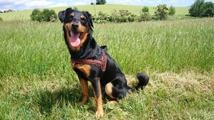 2014-06-13 14.44.42.jpg