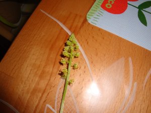 DSC01635.JPG DSC01635.JPG