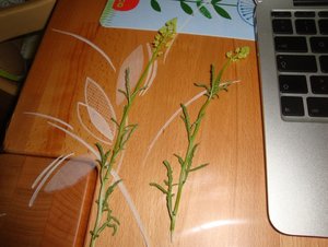 Test 2.jpg Test 2.jpg