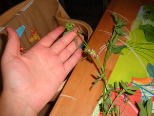 DSC01636.JPG DSC01636.JPG