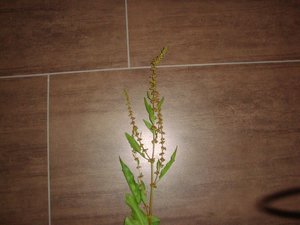 DSC01637.JPG DSC01637.JPG