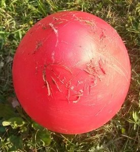 10510350_666554830086430_1090793545_n.jpg 10510350_666554830086430_1090793545_n.jpg