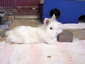 luise15csk6.jpg luise15csk6.jpg