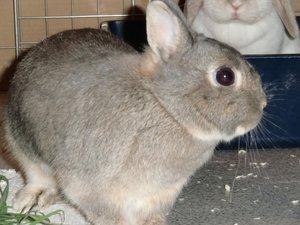 cimg7923qpjze.jpg cimg7923qpjze.jpg