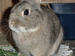 cimg7915ncki5.jpg cimg7915ncki5.jpg