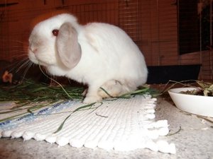 cimg79096pkzi.jpg cimg79096pkzi.jpg