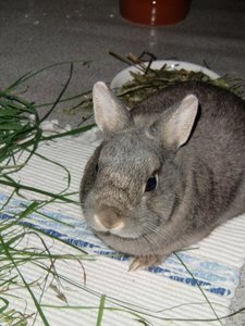 cimg79068wk8c.jpg cimg79068wk8c.jpg