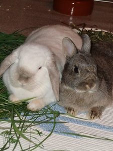 cimg79027uj6j.jpg cimg79027uj6j.jpg