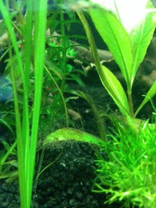 uploadfromtaptalk1404052372177.jpg uploadfromtaptalk1404052372177.jpg