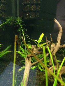 uploadfromtaptalk1404052384663.jpg uploadfromtaptalk1404052384663.jpg