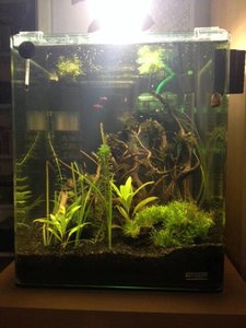 uploadfromtaptalk1404061602843.jpg uploadfromtaptalk1404061602843.jpg