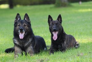 P1020267.jpg P1020267.jpg