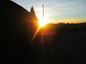 IMG_0419 1 klein.JPG