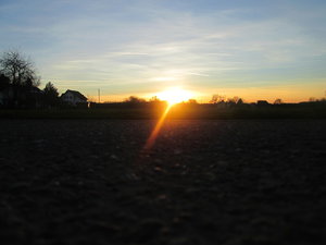 IMG_0445 1 Kopie.JPG