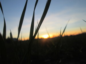 IMG_0490 1 klein.JPG