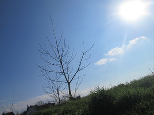 IMG_0721 1 klein.JPG